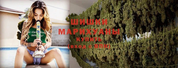 хмурый Верея