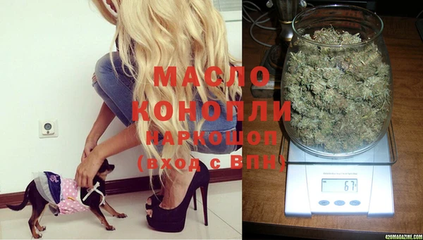 дмт Володарск