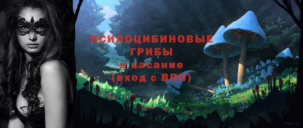 дмт Володарск