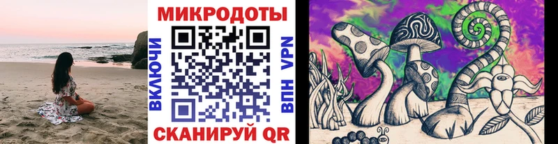 Псилоцибиновые грибы Psilocybe  Гаврилов Посад 